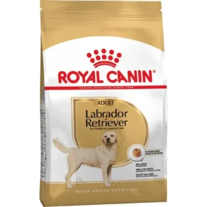 Royal Canin Labrador Retriever Adult