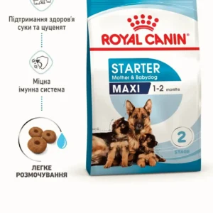 Royal Canin Maxi Starter