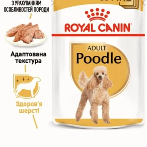 Royal Canin Poodle Adult в паштеті