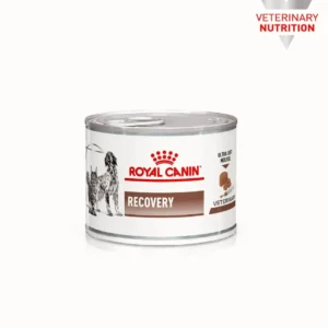 Royal Canin Recovery