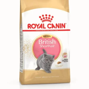 Royal Canin British Shorthair Kitten