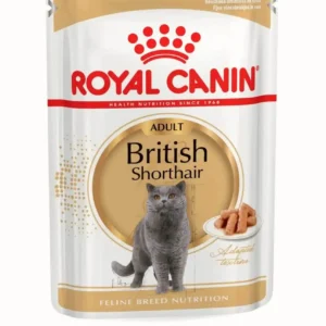 Royal Canin British Shorthair Adult Wet