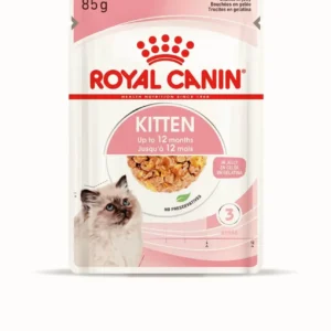 Royal Canin Kitten в желе