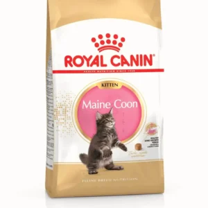Royal Canin Maine Coon Kitten